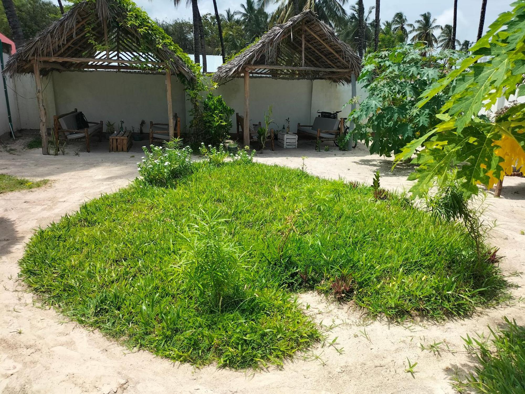 Mambo Leo Hostel Paje Exterior photo