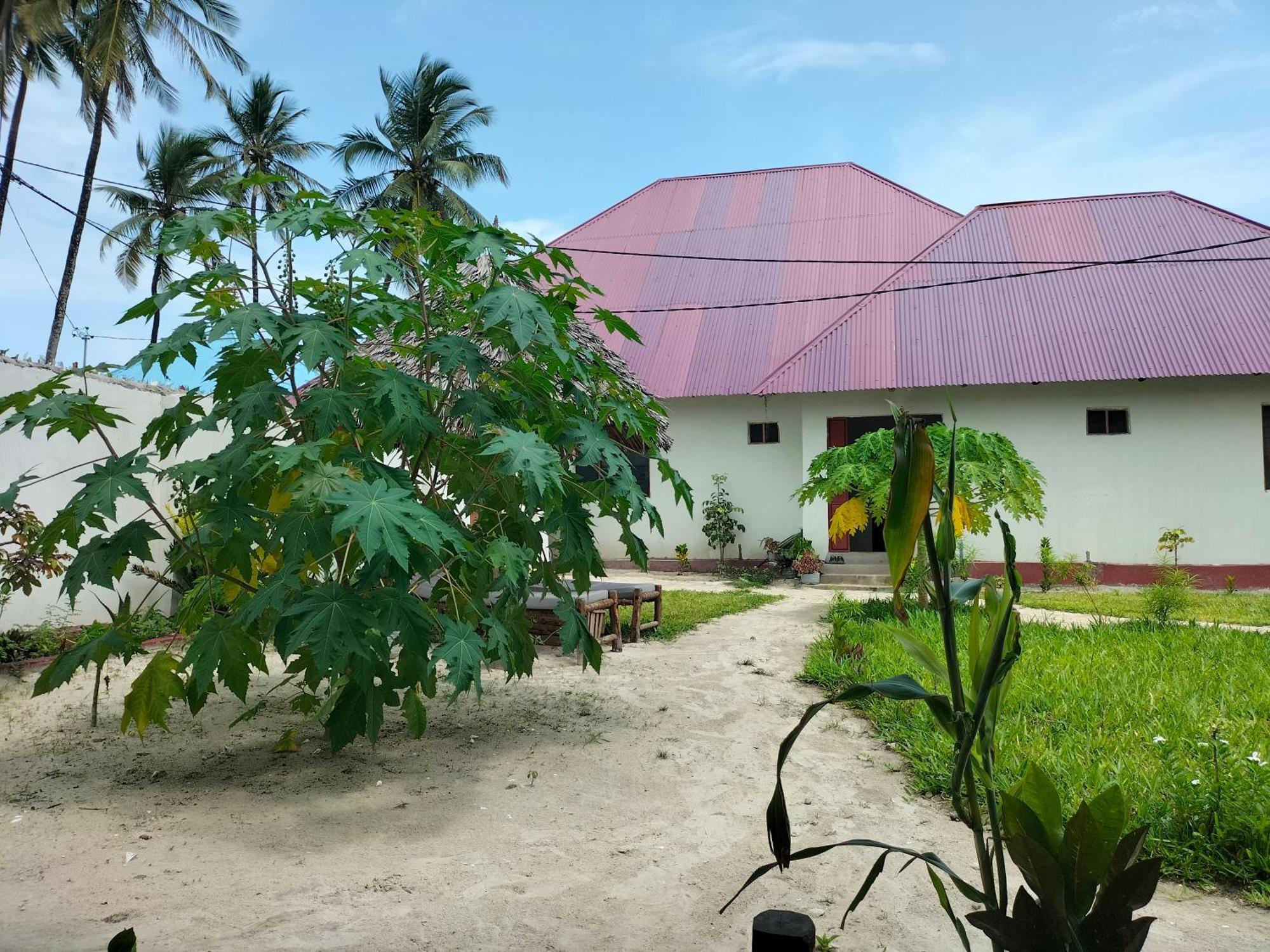 Mambo Leo Hostel Paje Exterior photo