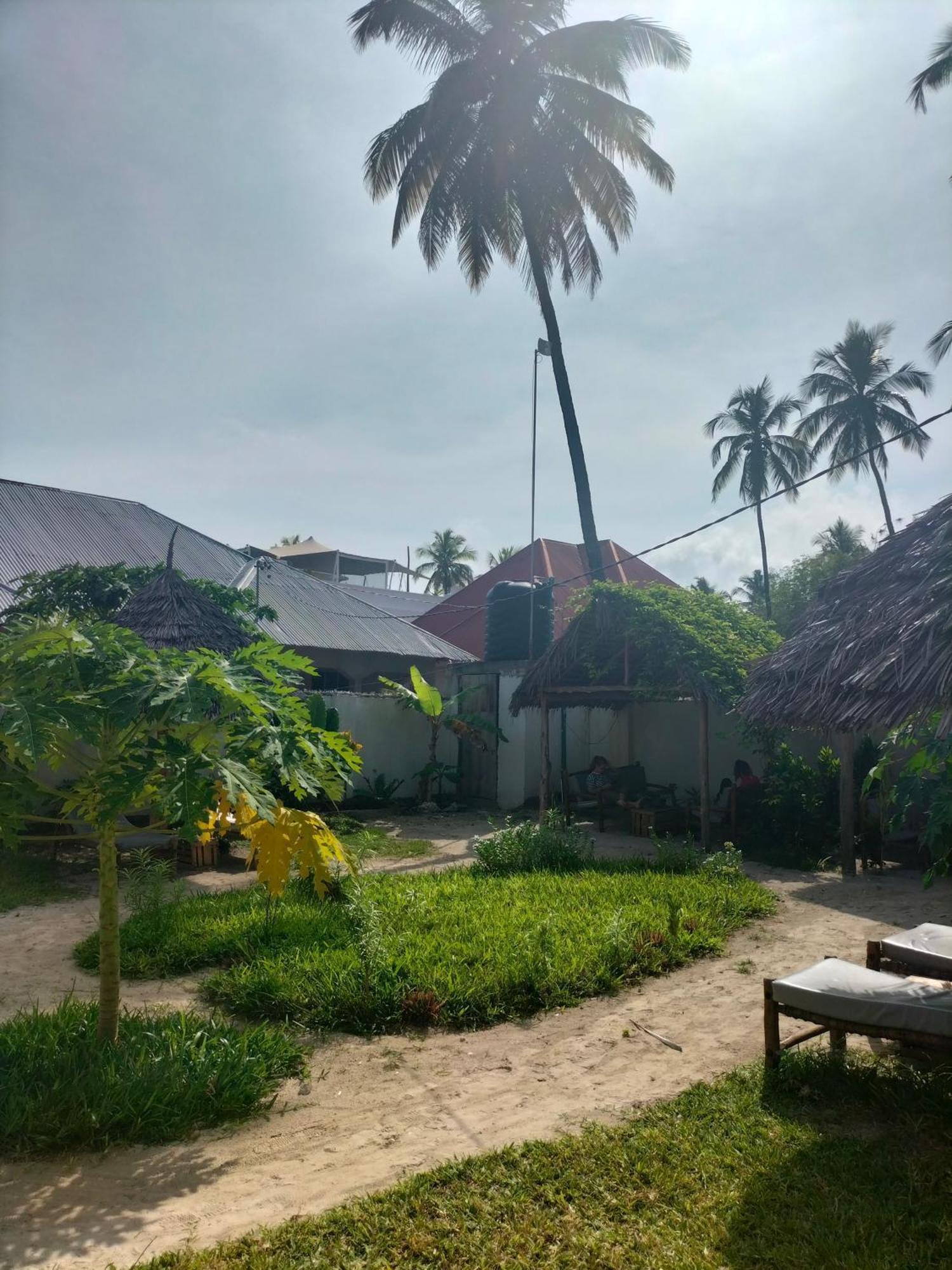Mambo Leo Hostel Paje Exterior photo